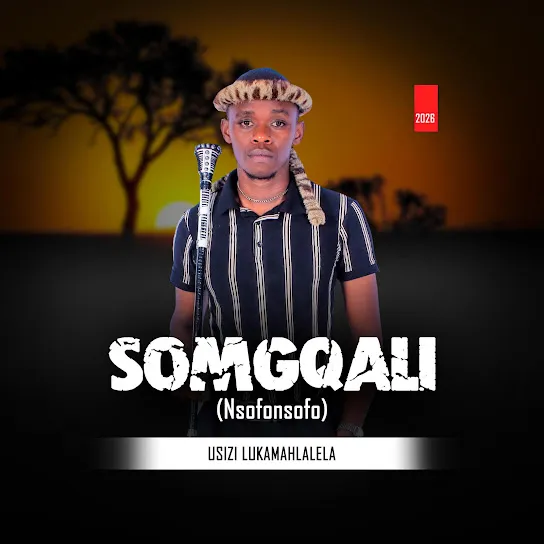 Somgqali – Usizi Lukamahlalela Ft. Sphe Mkhize